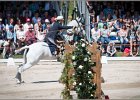 Pferd International 156